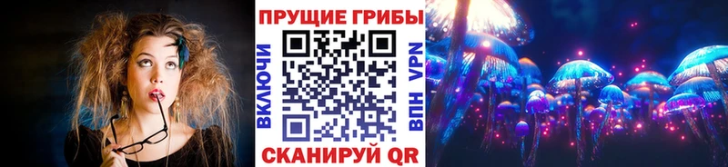 купить  сайты  Красноармейск  KRAKEN ссылка  Псилоцибиновые грибы Cubensis 